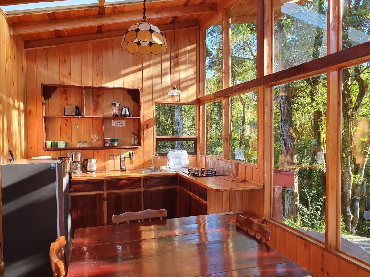 Finca Terra Viva Monteverde Εξωτερικό φωτογραφία