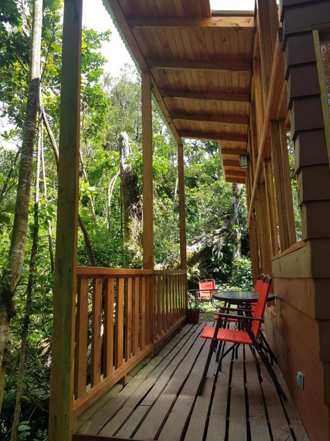 Finca Terra Viva Monteverde Εξωτερικό φωτογραφία