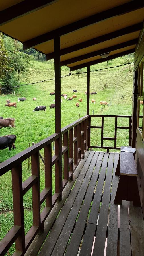 Finca Terra Viva Monteverde Εξωτερικό φωτογραφία