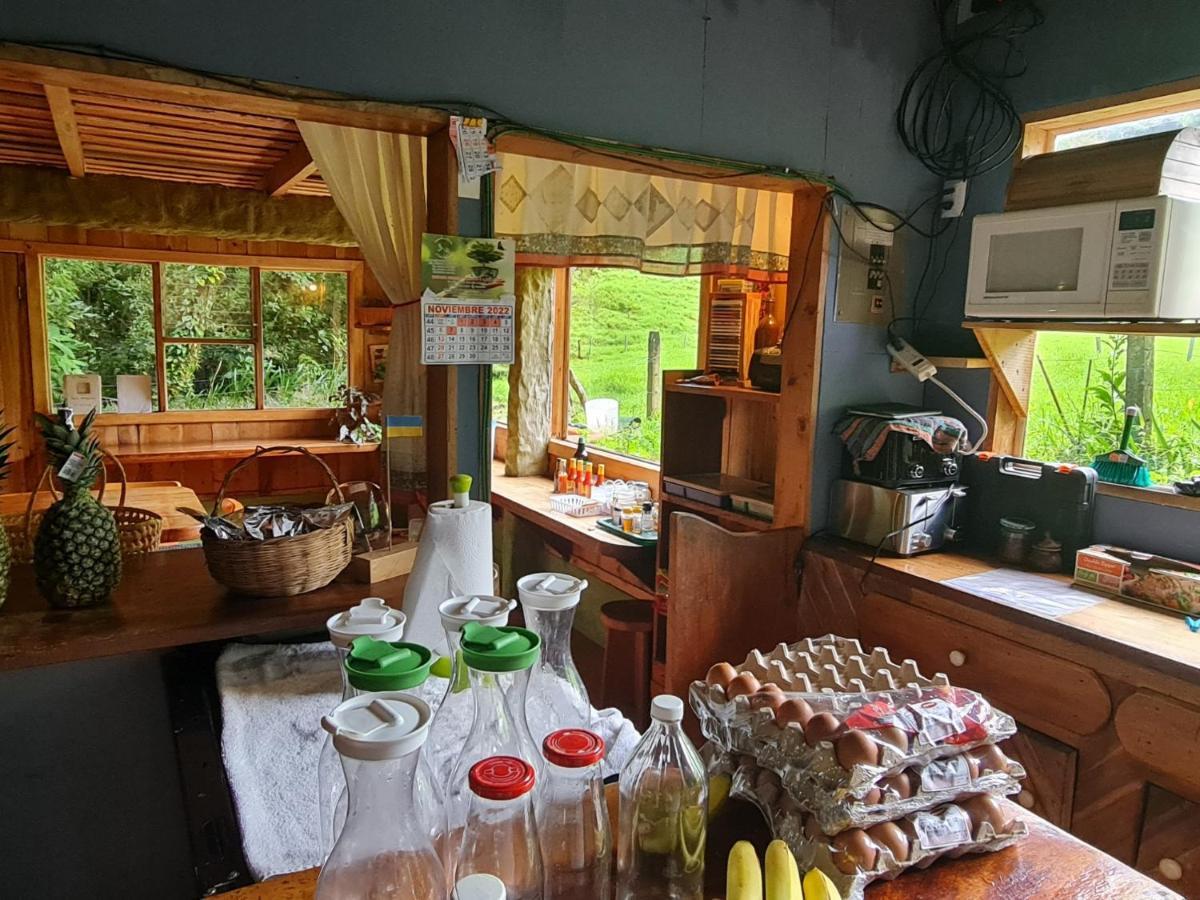 Finca Terra Viva Monteverde Εξωτερικό φωτογραφία