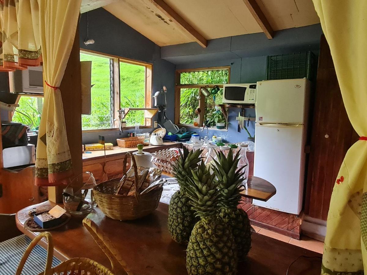 Finca Terra Viva Monteverde Εξωτερικό φωτογραφία