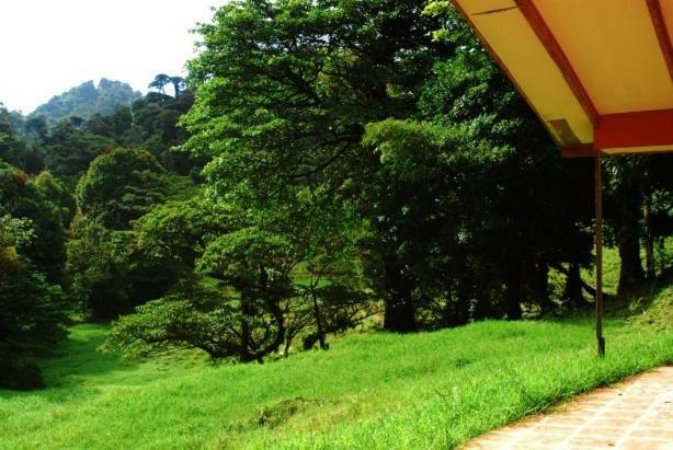 Finca Terra Viva Monteverde Εξωτερικό φωτογραφία