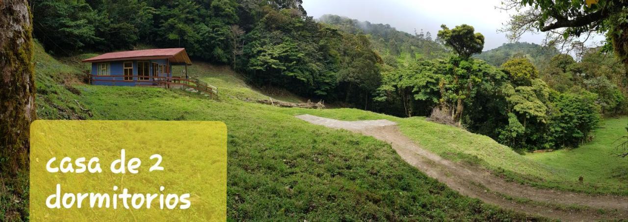 Finca Terra Viva Monteverde Εξωτερικό φωτογραφία