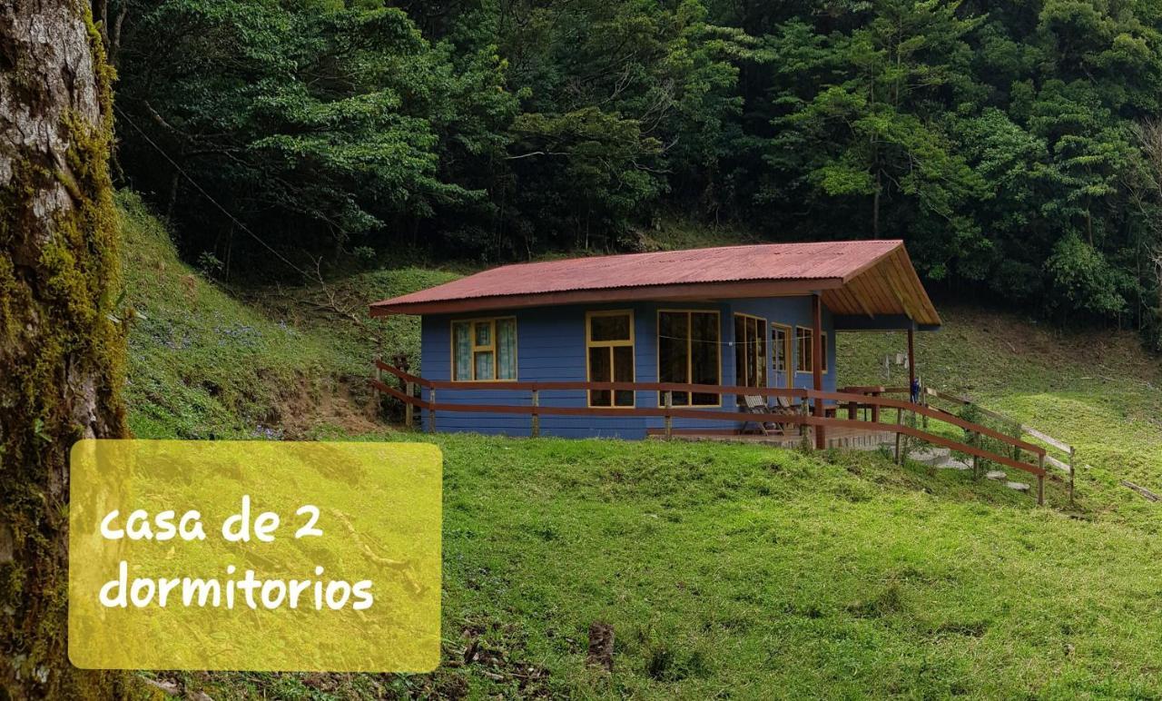Finca Terra Viva Monteverde Εξωτερικό φωτογραφία