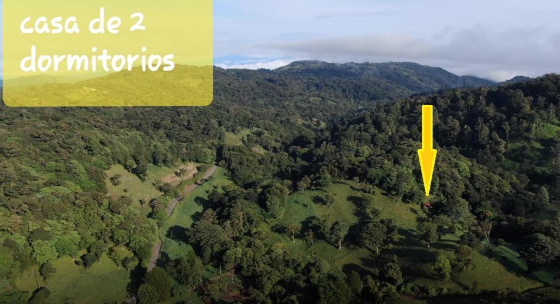 Finca Terra Viva Monteverde Εξωτερικό φωτογραφία